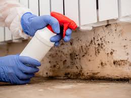 Best Mold Remediation for Healthcare Facilities  in North Star, DE